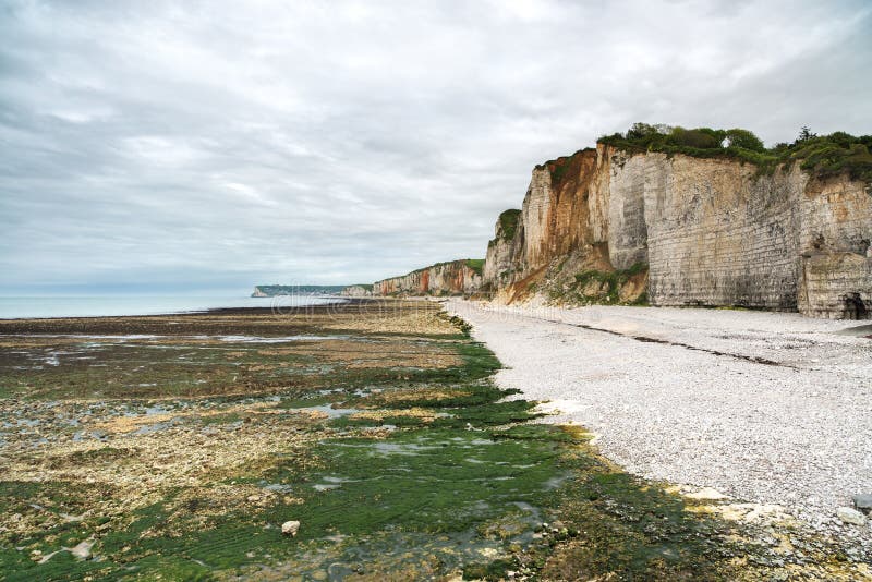 Yport and Fecamp, Normandy. Beach, cliff and rocks in low tide ocean. France, Europe.