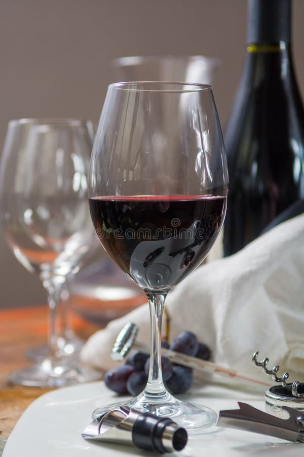 Yrkesmässig händelse för rött vinavsmakning med högkvalitativt vinexponeringsglas royaltyfri foto Yrkesmässig händelse för rött vinavsmakning med högkvalitativt vinexponeringsglas royaltyfri foto