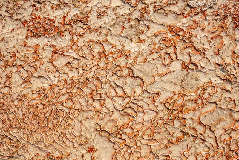 Yttersida för Pamukkale travertinetips arkivbilder Yttersida för Pamukkale travertinetips arkivbilder