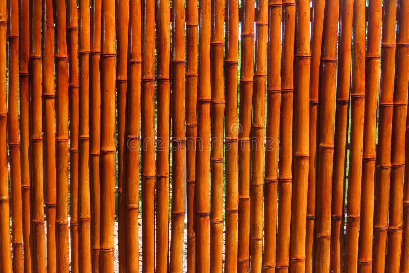 yttervägg tillverkad med bambu royaltyfri foto yttervägg tillverkad med bambu royaltyfri foto