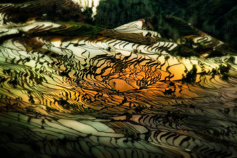 Yuanyang Rice tarasy w Yunnan, Chiny