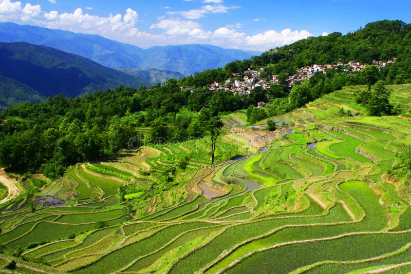 Yuanyang Rice Terraces royalty free stock photos Yuanyang Rice Terraces royalty free stock photos