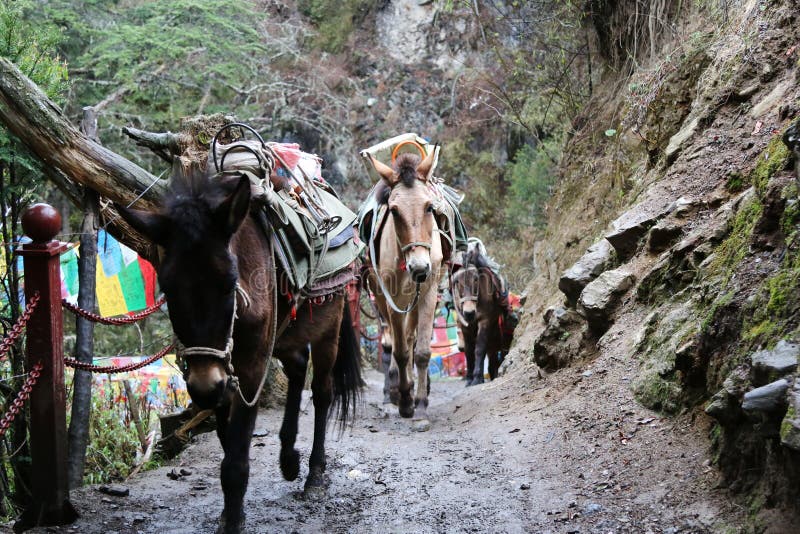 Nadthawudh Sangpichai (Portosang) - Photographer profile