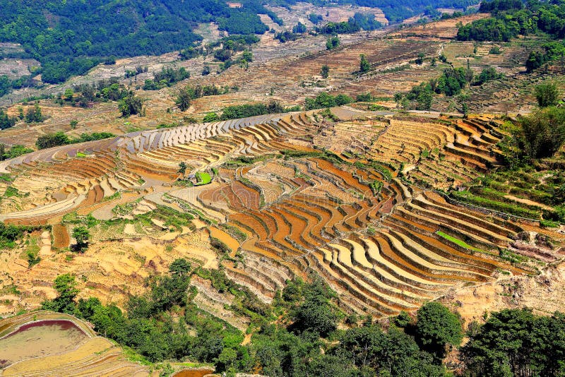 Yuenyang Hani Terrace nel Yunnan, Cina fotografia stock libera da diritti Yuenyang Hani Terrace nel Yunnan, Cina fotografia stock libera da diritti