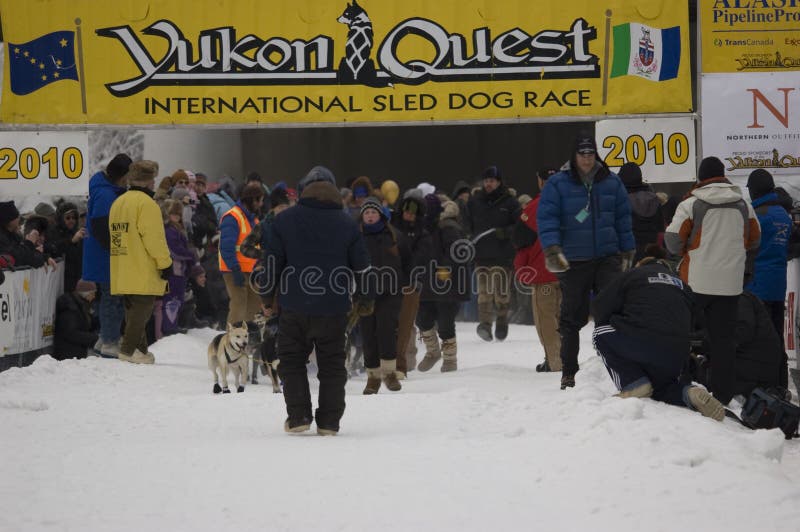 Yukon Quest Start Gate editorial photography. Image of canada 12893392