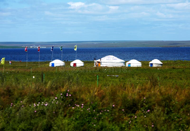 Yurt in the grassland.