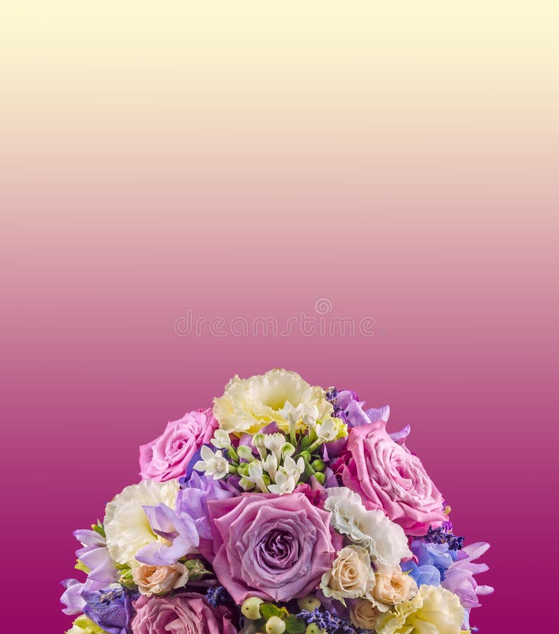 Żywy kwiecisty przygotowania z mauve różami Hortensis hortensją i, ślubny bukiet mauve żółty degradee tło, odizolowywający obrazy royalty free