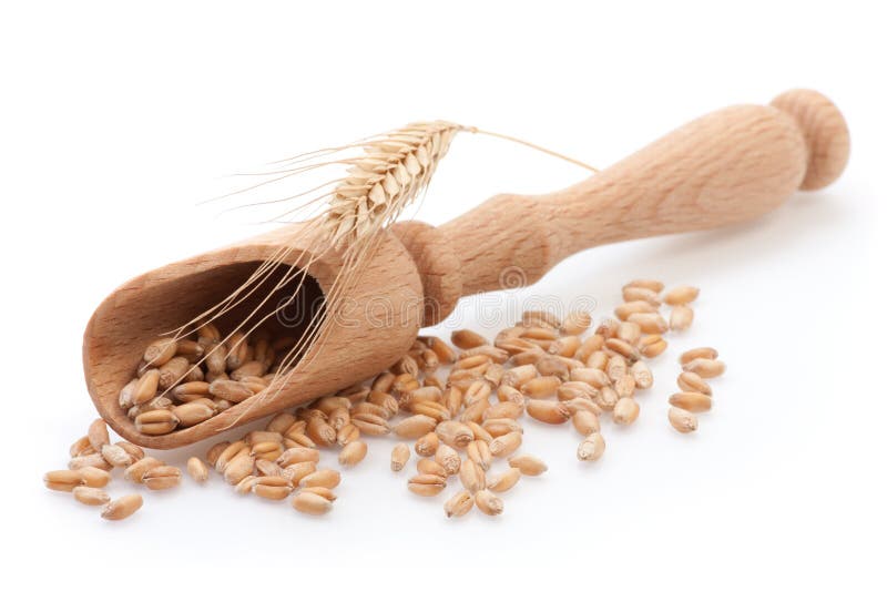 Zaadje in een houten schepje stock afbeeldingen