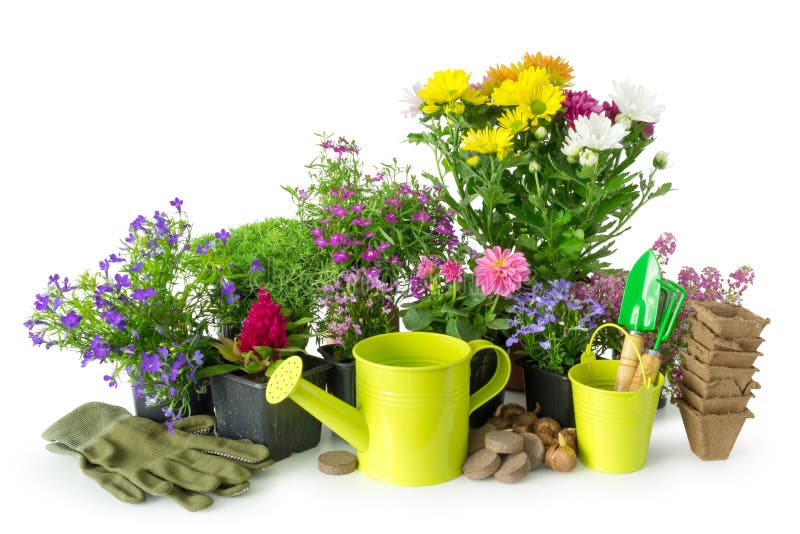 Zaailing van tuininstallaties en bloemen Tuinmateriaal op wit