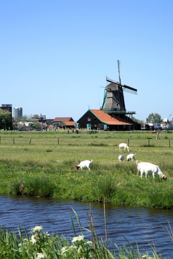 zaanse néerlandais de schans photo stock zaanse néerlandais de schans photo stock