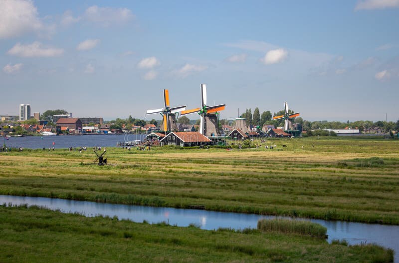 Old dutch windmills and river in historical village. Holland mills in field panoramic view. Rural holland landscape.