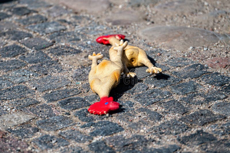 Toys rubber chicken dropped on the cobblestone, closeup. Toys rubber chicken dropped on the cobblestone, closeup