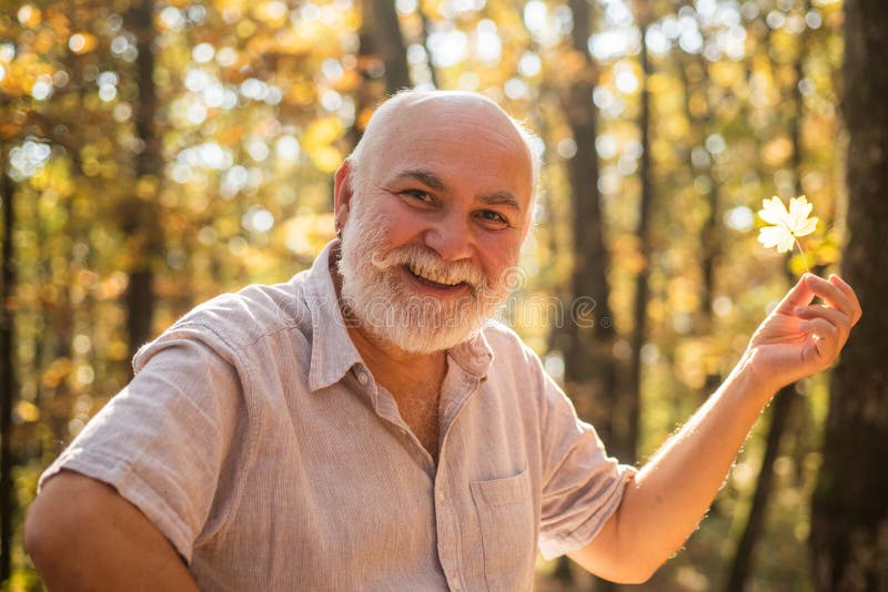 Keep cheerfulness. Pensioner hiking in forest on sunny autumn day. See beauty in simple things. Old bearded man collect leaves. Happy man enjoy autumn nature. Bearded grandfather relaxing in forest. Keep cheerfulness. Pensioner hiking in forest on sunny autumn day. See beauty in simple things. Old bearded man collect leaves. Happy man enjoy autumn nature. Bearded grandfather relaxing in forest.