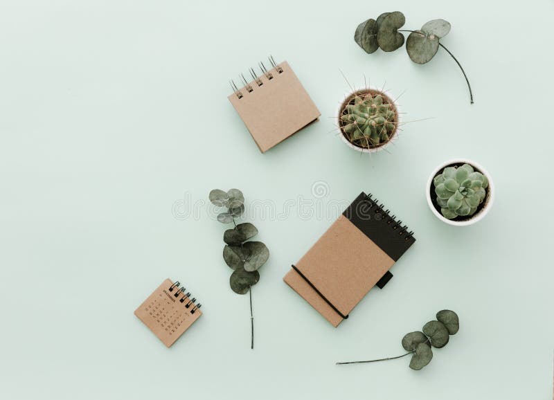 Zachte Neutrale Gestileerde Bureauscènes met Cactus, de notitieboekjes van ambachteco stock foto's Zachte Neutrale Gestileerde Bureauscènes met Cactus, de notitieboekjes van ambachteco stock foto's