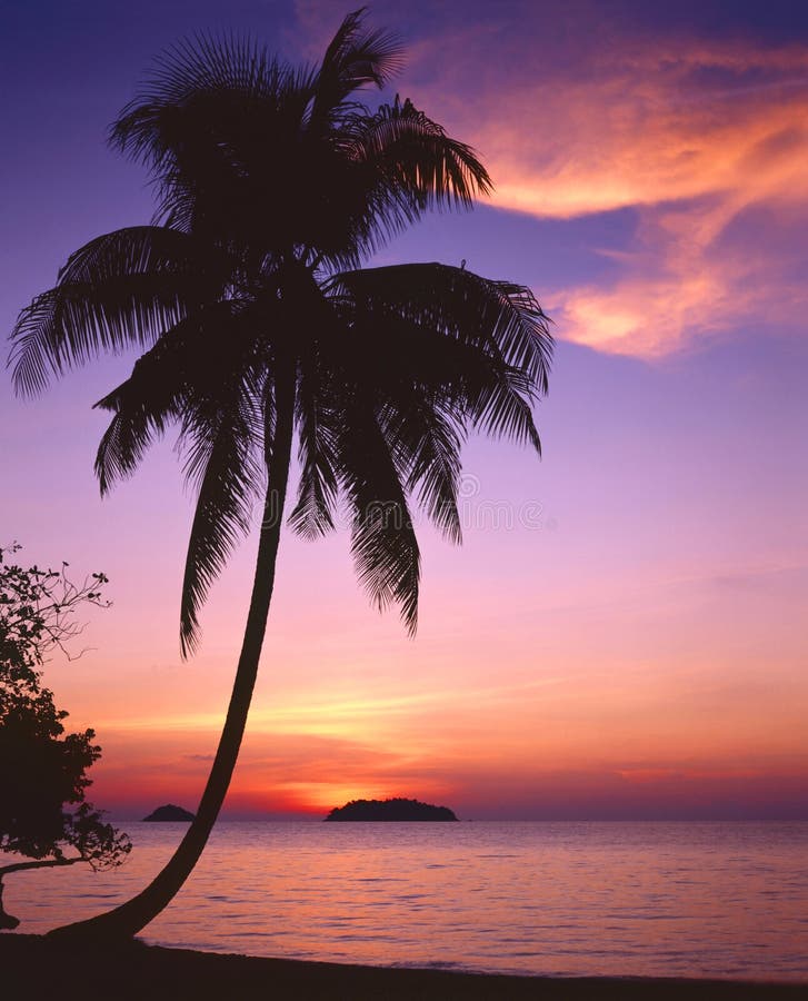 Zachód słońca tropikalny Thailand