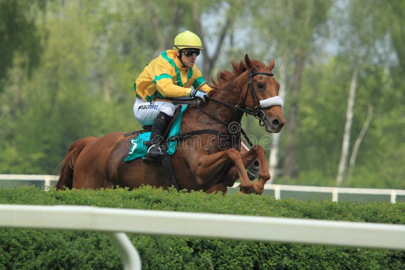 Zadar in Lysa nad Labem editorial stock photo. Image of horse 40565293