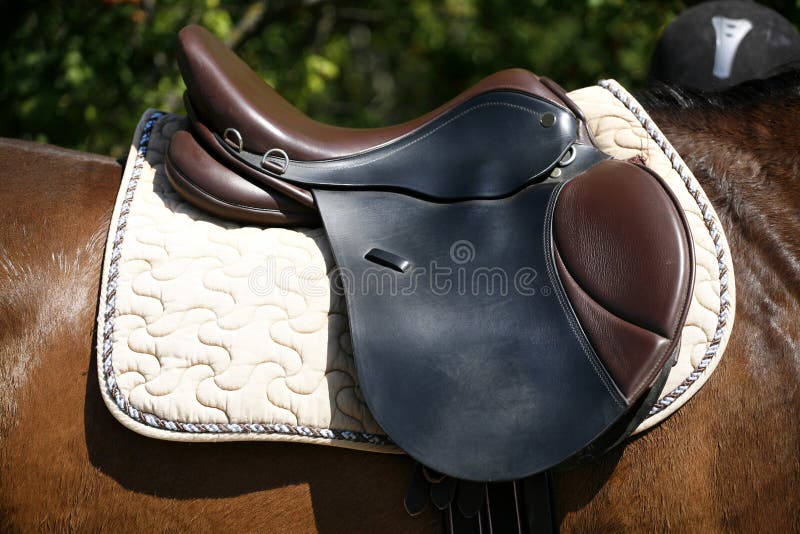 Zadel Op Een Rug Van Een Paard Stock Afbeelding Image of platteland