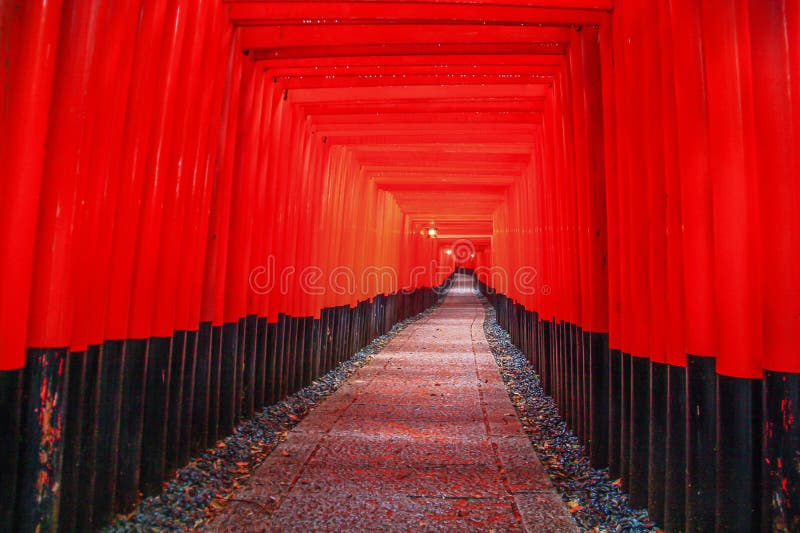 Zadziwiająca Fushimi Inari-taisha świątynia, Japonia fotografia stock Zadziwiająca Fushimi Inari-taisha świątynia, Japonia fotografia stock