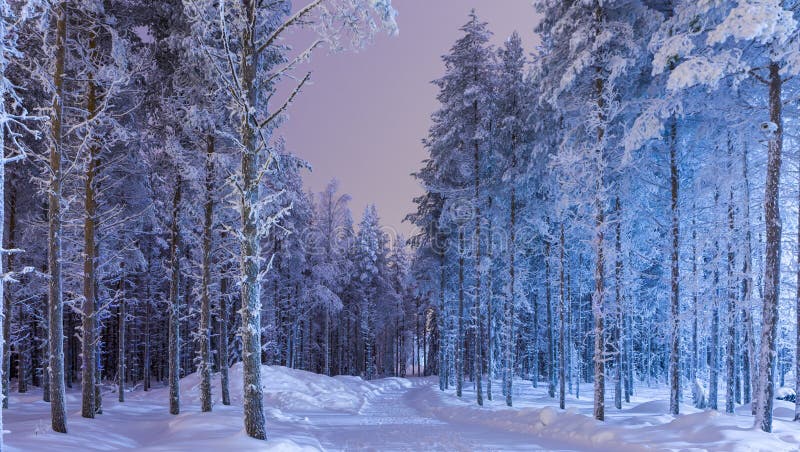 Zadziwiającej Spokojnej zimy Lasowa sceneria w Suomi Północnym terenie