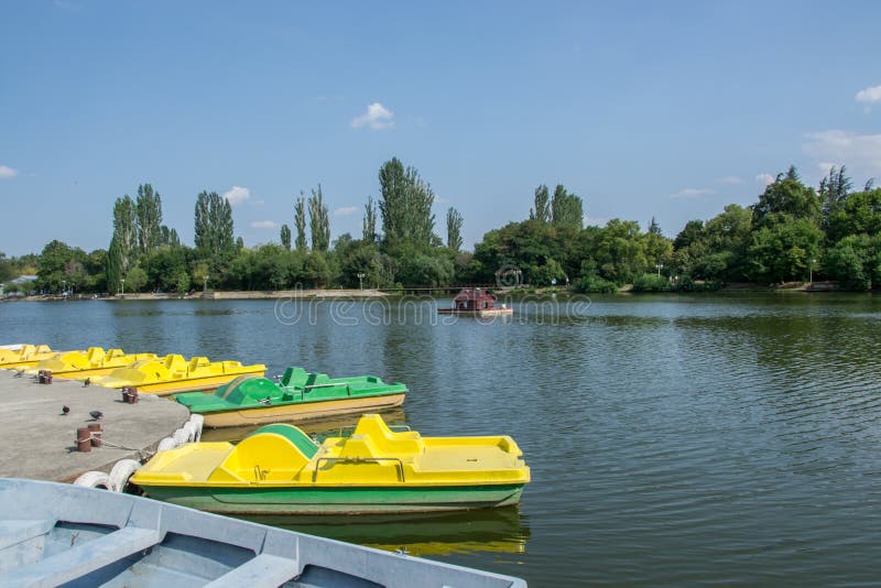 Beautiful peaceful nature, trees and plants on a lake, floating bird house, public park with pedal boats, reflection in the water