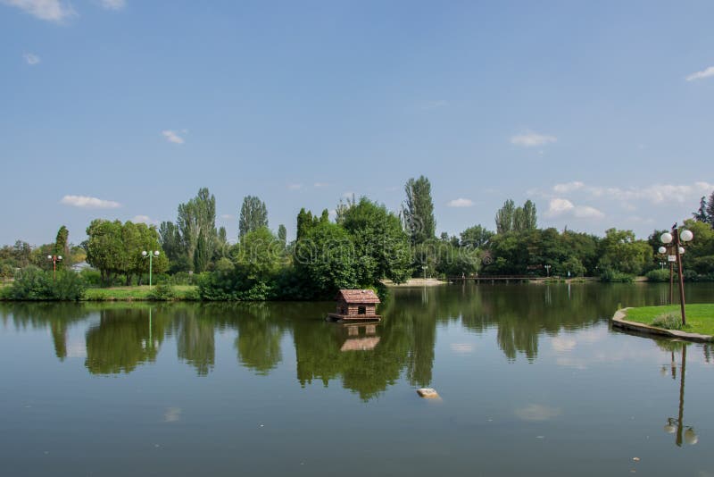 Beautiful peaceful nature, trees and plants on a lake, floating bird house, summertime season, reflection in the water