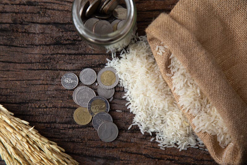 Concept of zakat in Islam religion. Selective focus of money and rice with  alphabet of zakat on wooden background.