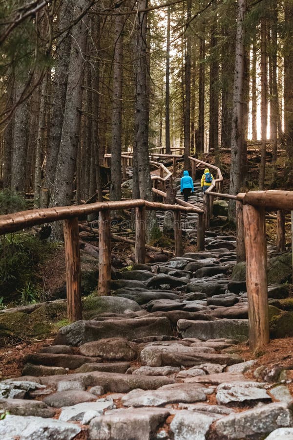 Zakopane, Polen, 11 01 2016 Att anställa genom skogen Stone-trakten genom skogen royaltyfria bilder Zakopane, Polen, 11 01 2016 Att anställa genom skogen Stone-trakten genom skogen royaltyfria bilder