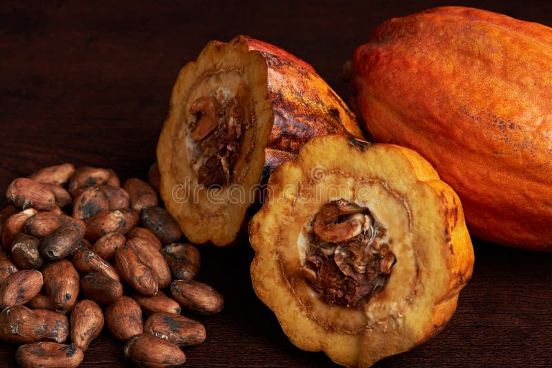 Zakończenie cacao ziarna z rżniętą kakaową owoc na ciemnym drewnianym tle