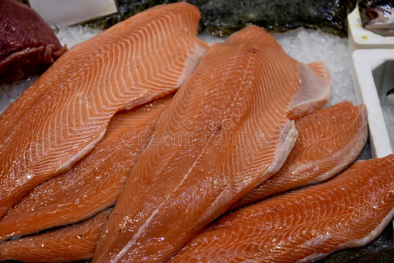 Zalm stock foto Zalm stock foto
