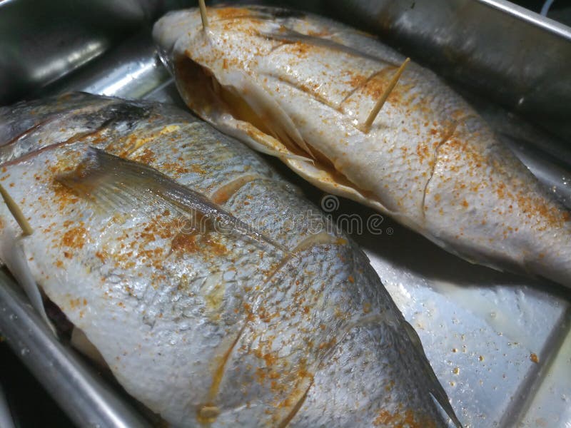 Zamyka up uncooked denni leszcze obraz stock Zamyka up uncooked denni leszcze obraz stock