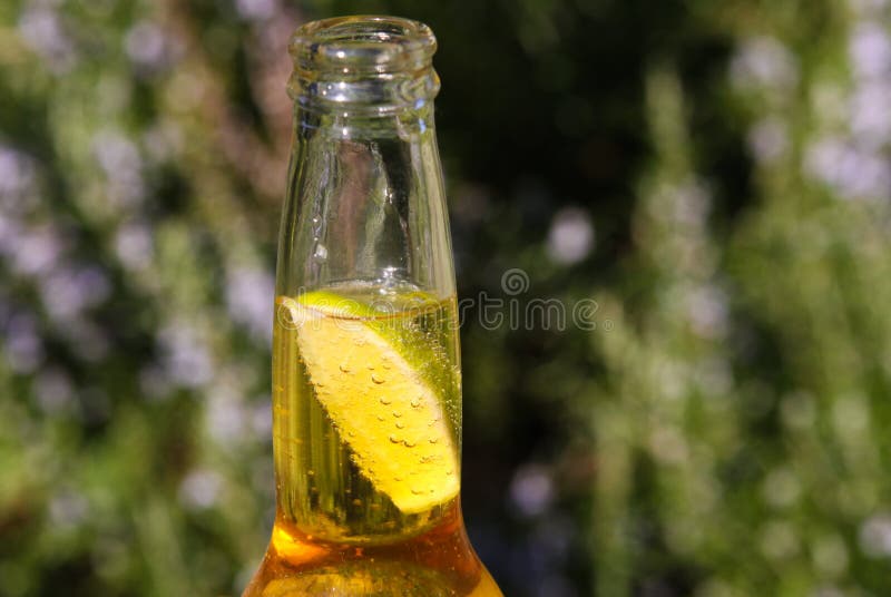 Zamyka w górę bottleneck z żółtym piwem i plasterka cytryna z zieleń zamazującym naturalnym tłem obrazy stock Zamyka w górę bottleneck z żółtym piwem i plasterka cytryna z zieleń zamazującym naturalnym tłem obrazy stock