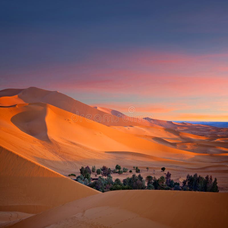 Zandduinen in de woestijn van de Sahara in Afrika royalty-vrije stock foto's Zandduinen in de woestijn van de Sahara in Afrika royalty-vrije stock foto's