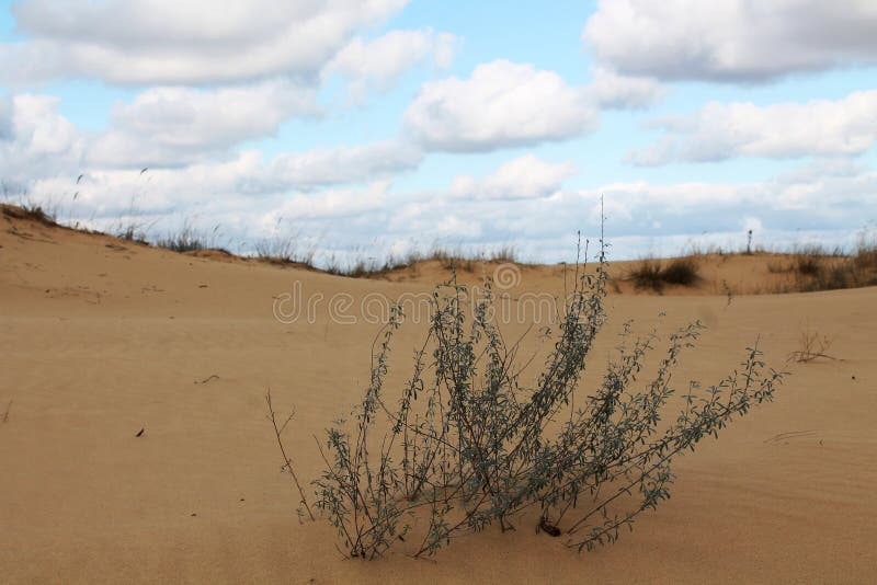 Zandduinen van de grootste woestijn van Europa ` s royalty-vrije stock afbeelding Zandduinen van de grootste woestijn van Europa ` s royalty-vrije stock afbeelding