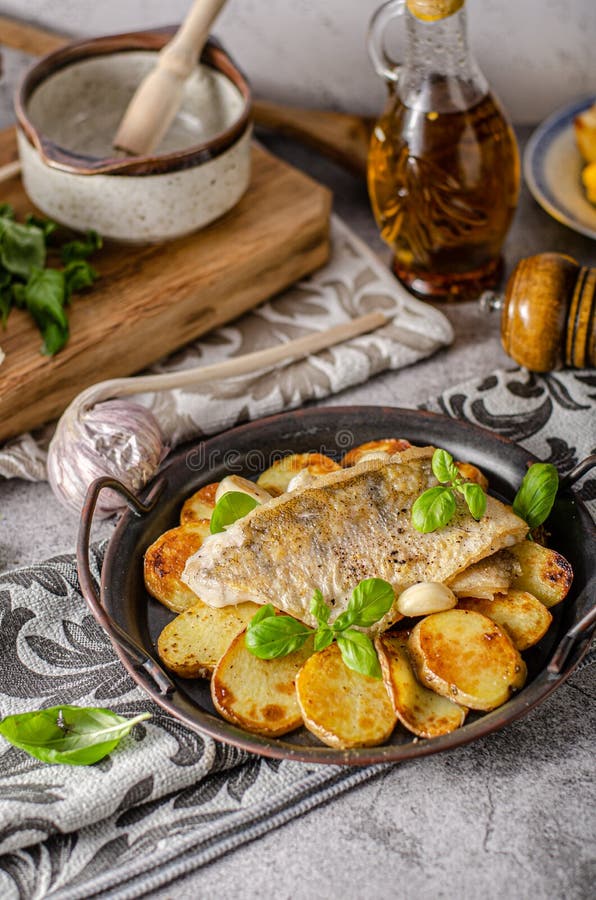 Zander fish grilled stock photo. Image of fish, pikeperch 169662380