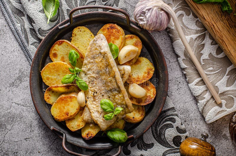 Zander fish grilled stock photo. Image of cooked, dinner 169662650