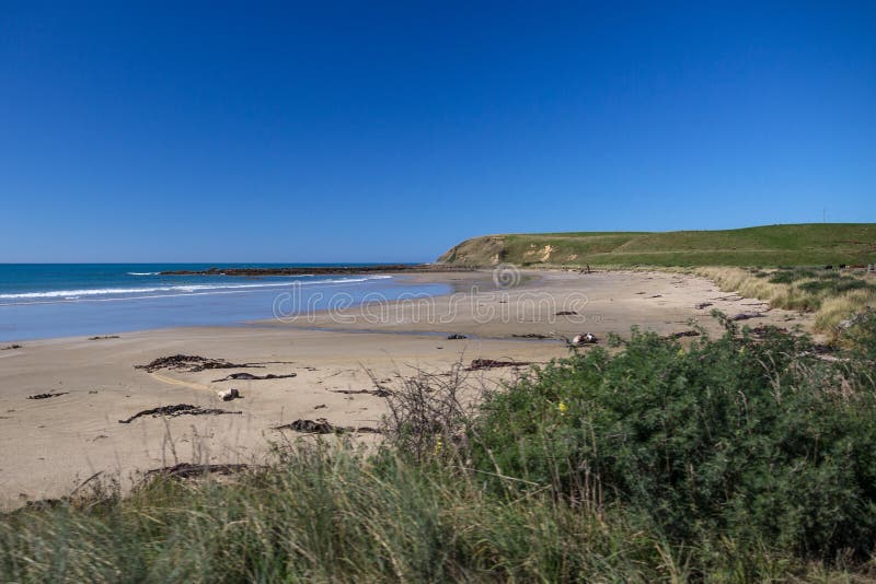 Zandig strand op Catlins-Kust, het Zuideneiland van Nieuw Zeeland ` s stock fotografie Zandig strand op Catlins-Kust, het Zuideneiland van Nieuw Zeeland ` s stock fotografie