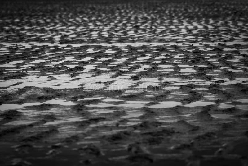 Zandrimpels op het strand in zwart-wit royalty-vrije stock afbeelding