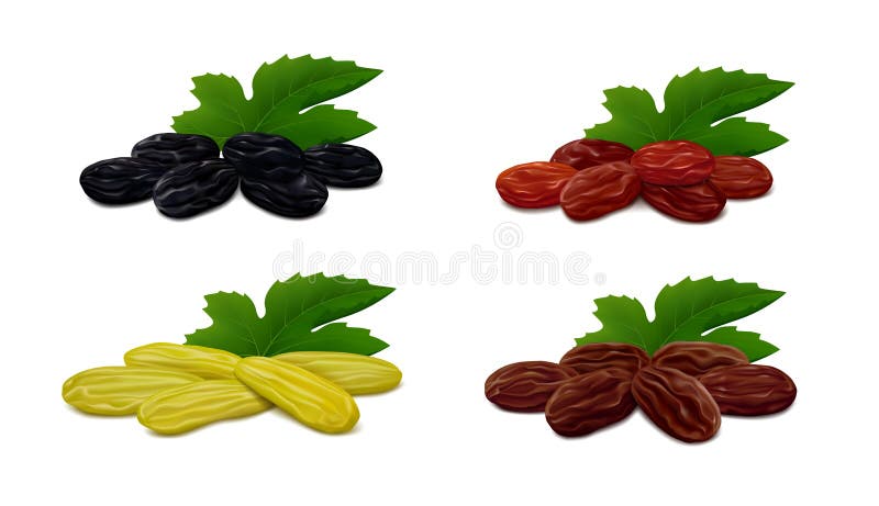 Zante Currants, Afghan, green Kashmari and Thompson raisins isolated on white background