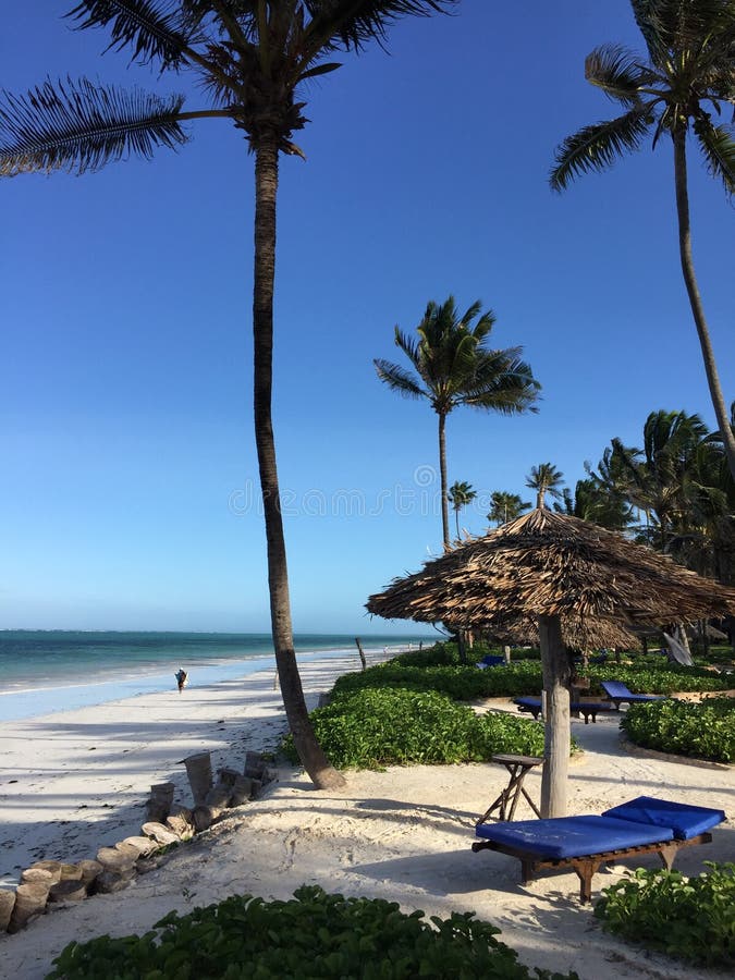 Zanzibar Beach Resort stock image. Image of tanzania 58957011