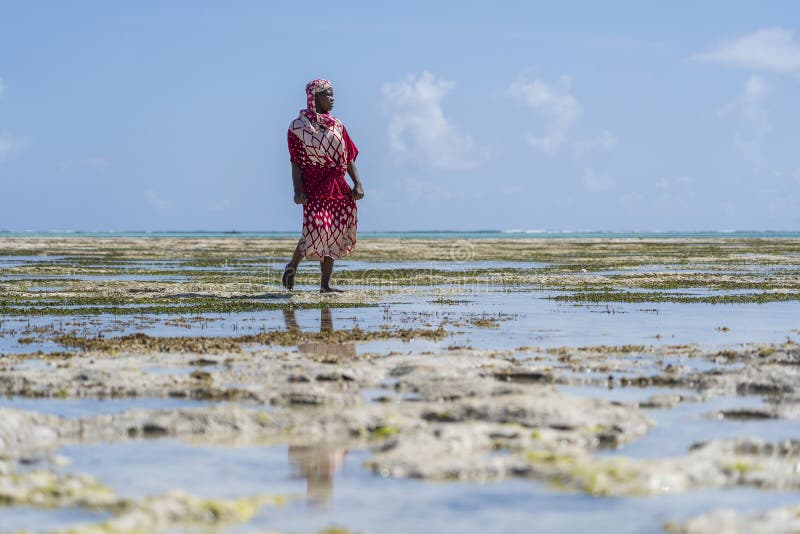 Zanzibar, Tanzania - january 07, 2020 : African woman on the tropical beach near sea in island of Zanzibar, Tanzania, east Africa. Zanzibar, Tanzania - january 07, 2020 : African woman on the tropical beach near sea in island of Zanzibar, Tanzania, east Africa