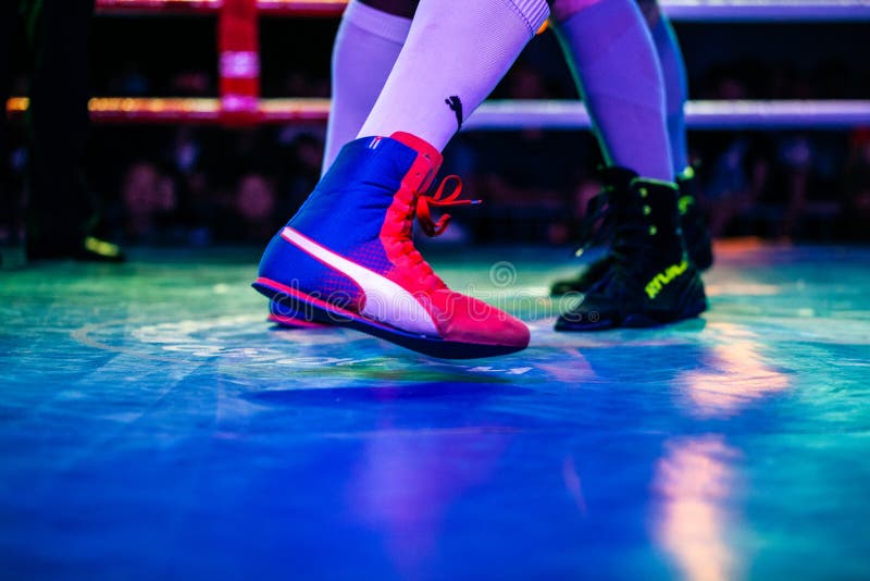 Zapatos De Boxeo Puma Un Combate De Boxeo El Equipo Nacional De Armenia Ucrania Foto - Imagen de honestidad, ciudad: 209537801