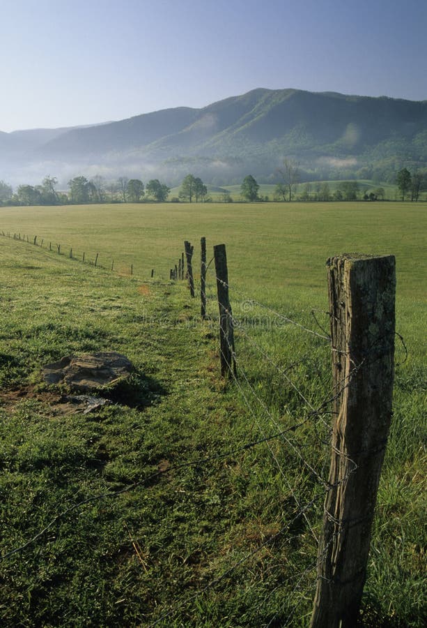 Zaun, Felder, Frühling, Cades Bucht stockfotos Zaun, Felder, Frühling, Cades Bucht stockfotos