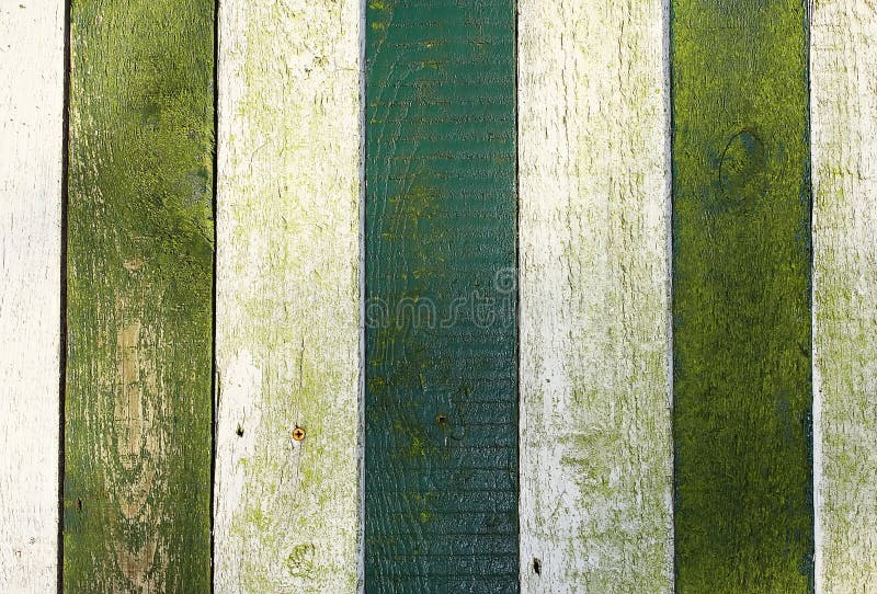 Green and white painted wooden planks with moss. Green and white painted wooden planks with moss