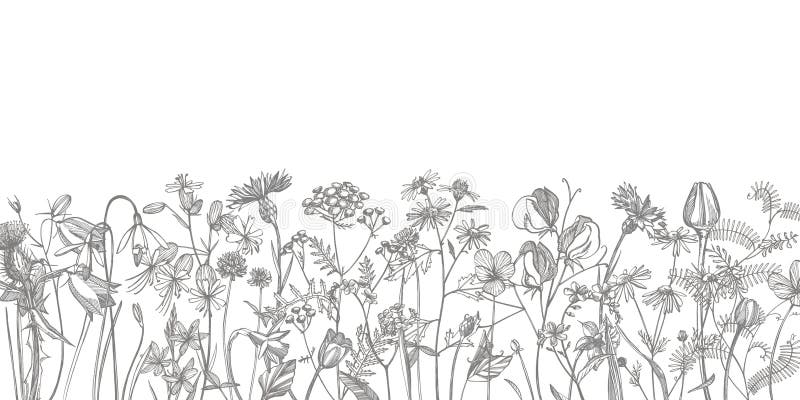 Zbieranie kwiatÃ³w i ziÃ³Å‚ wypatroszonych rÄ™cznie. Botaniczna ro?liny ilustracja. ZbiÃ³r szkicÃ³w ziÃ³Å‚ leczniczych z winnicy