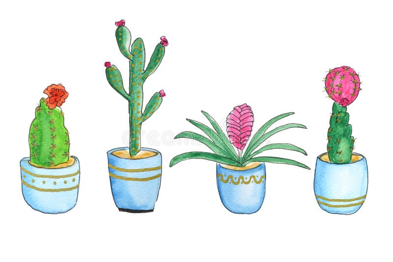 Zbiór rodzimych zielonych roślin i ilustracja w kolorze wodnym cacti Różne rodzaje kaktusa domowego, palmy w ilustracja wektor