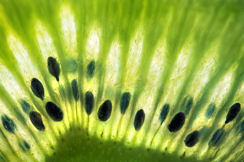 Zbliżenia świeżej owoc zieleni kiwi macro sia w
