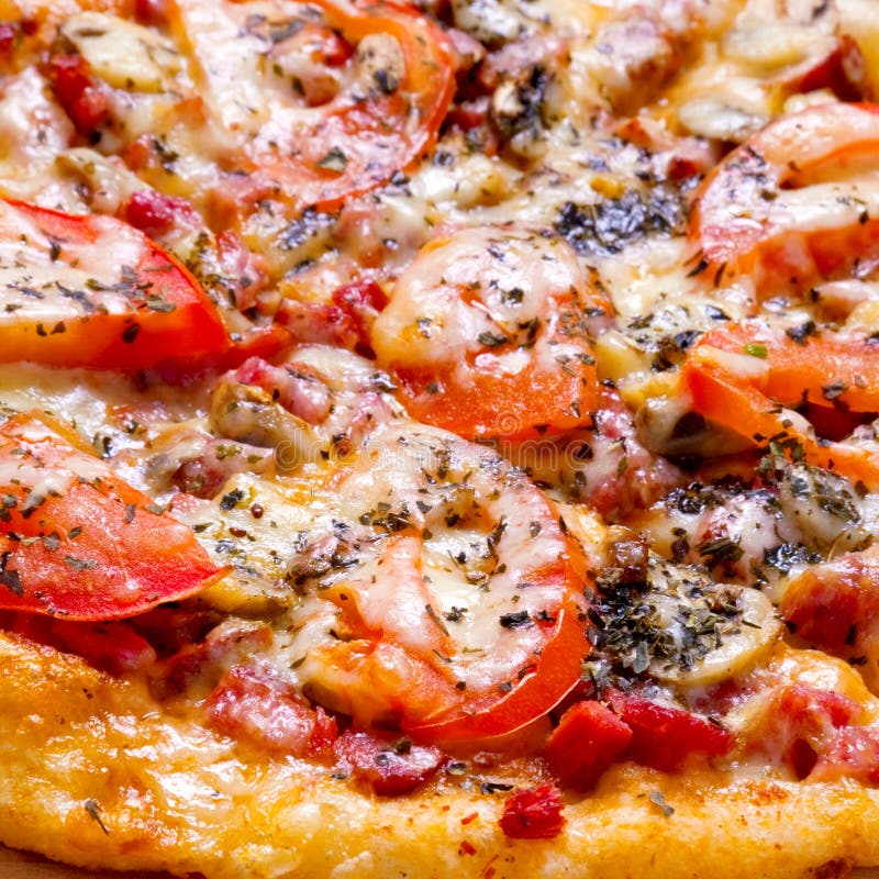 Pizza fast food with tomato and cheese closeup. Pizza fast food with tomato and cheese closeup