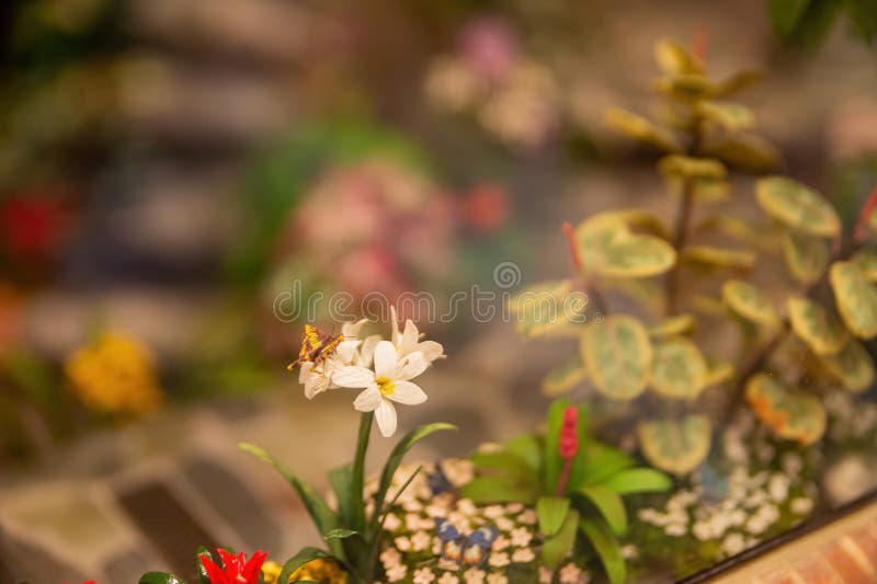 Zbliżenie sztuki miniaturowej w muzeum miniatur tajwan fotografia stock