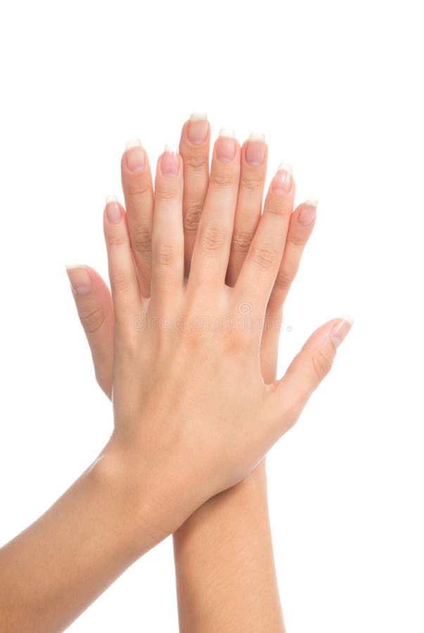 Zdrowi młodzi żeńscy ands z francuskiego manicure'u gwoździami zdjęcia royalty free Zdrowi młodzi żeńscy ands z francuskiego manicure'u gwoździami zdjęcia royalty free
