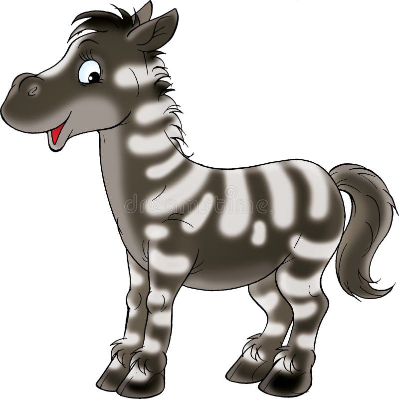 Zebra